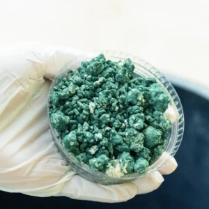 Cultivo de Microorganismos: Técnicas, Medios y Buenas Prácticas