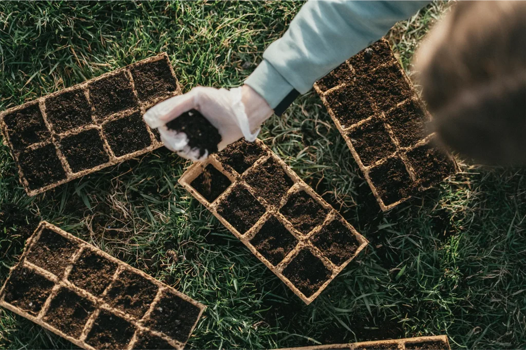 Cultivo de microorganismos en biorreactores aplicado al desarrollo de Bioinsumos agrícolas
