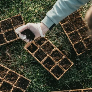 Cultivo de microorganismos en biorreactores aplicado al desarrollo de Bioinsumos agrícolas